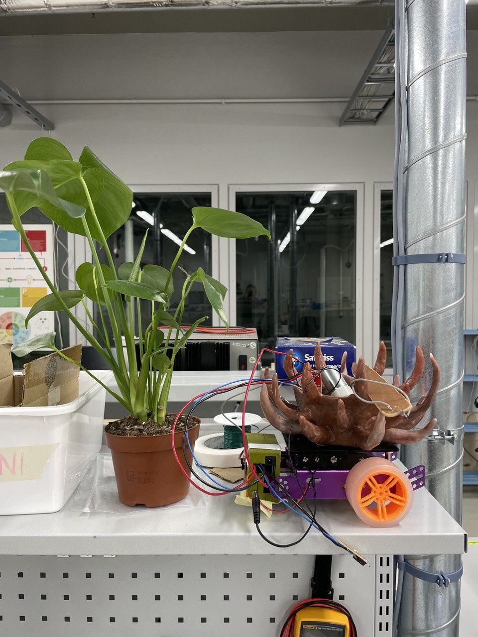 the plant beside the rest of the Plantbot