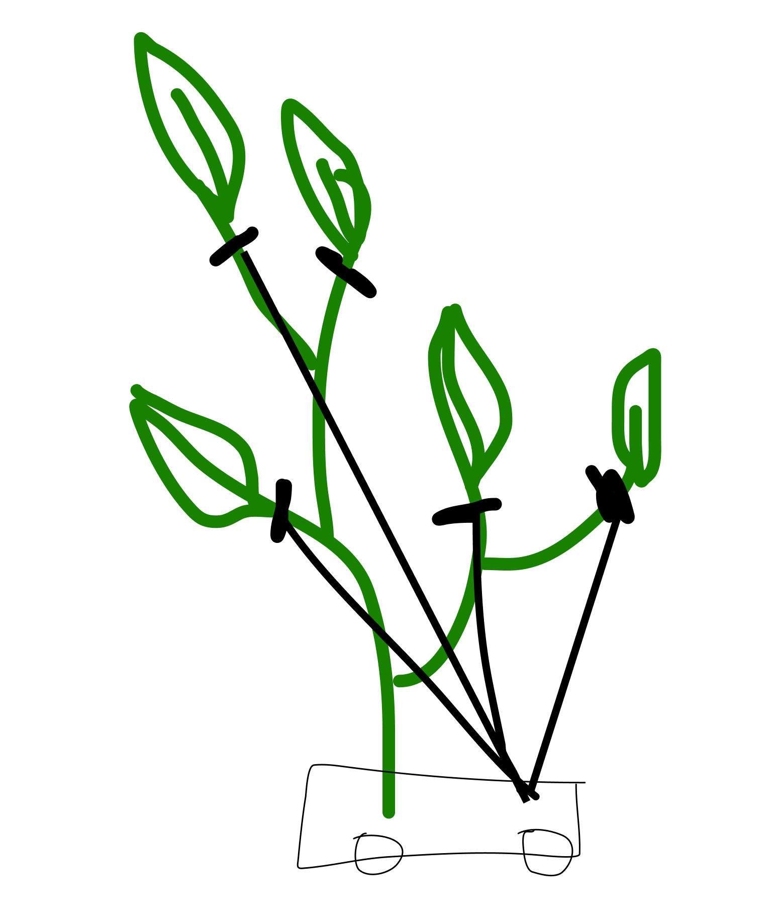 sketch of the exoplant, a moving plant