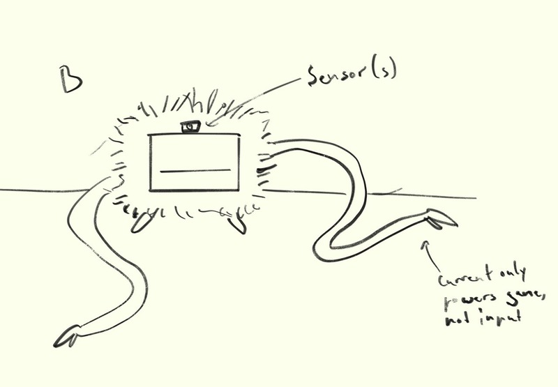 Project Proposal